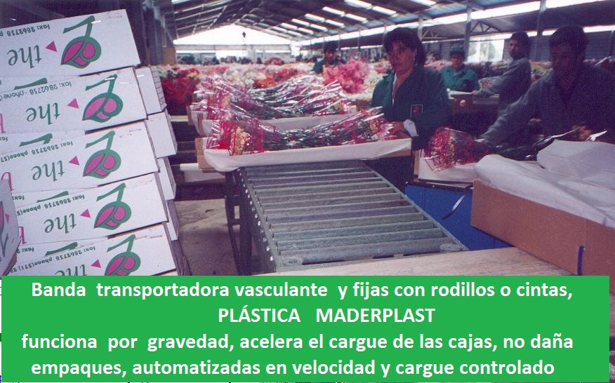 bandas trasportadora para postcosecha bandas trasportadoras cultivos de flores banda trasportador cinta transportador de flores de corte banda cultivos de cosechas de viveros tecnificados 00001 bandas trasportadora para postcosecha bandas trasportadoras cultivos de flores banda trasportador bandas trasportadora para postcosecha bandas trasportadoras cultivos de flores banda trasportador cinta transportador de flores de corte banda cultivos de cosechas de viveros tecnificados 00001 cinta transportador de flores de corte banda cultivos de cosechas de viveros tecnificados 00001